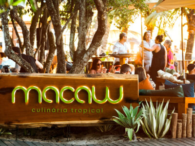 Sunset Macaw: quando o fim do dia encontra o seu melhor momento