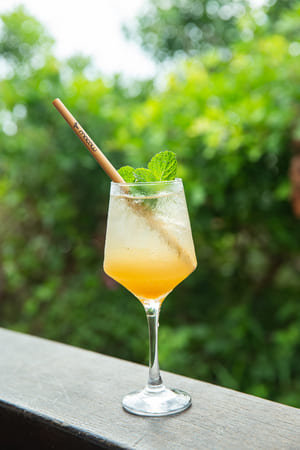 Foto - Macaw Beach Bar
